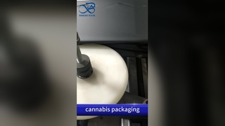 Sac à fermeture éclair à l'épreuve des enfants, conforme aux brevets américains, vente en gros B2B, hermétique