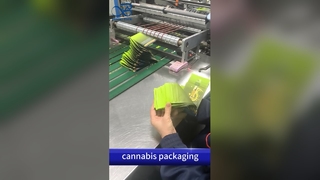 Sacs de sortie à l'épreuve des enfants : pochette imprimée personnalisée B2B conforme au brevet américain