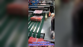 Sacs à fermeture éclair pour dosettes de lessive résistantes aux enfants, imprimés sur mesure pour les fabricants de marque