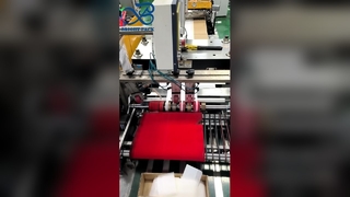 La glassine claire écologique met en sac la poche recyclable certifiée par FSC de paquet de cadeau