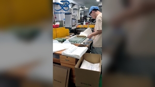 Sac de festins de boulangerie de preuve d'huile de sac blanc semi-lucent biodégradable de glassine