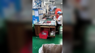 Sac léger d'affichage au détail de poches de support de fenêtre transparente flexible et sûre faite sur commande