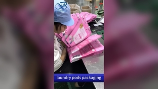 Sac à fermeture éclair en plastique pour dosettes de lessive : résistant aux enfants, résistant à l'humidité, vente en gros B2B personnalisé