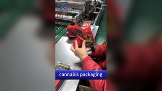 Grossiste de sacs à l'épreuve des enfants : pochettes imprimées personnalisées sécurisées conformes au brevet américain B2B