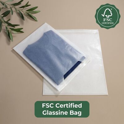Sac en verre de luxe en gros sur mesure imprimé sac en papier transparent plat pour vêtements vêtements cadeau vente au détail emballage OEM
